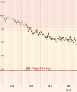 ４ヶ月のダイエットで１０kg痩せた方法を公開します